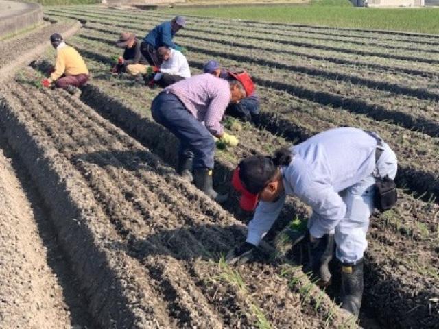 【サービス管理責任者】生活介護施設/年間休日119日◎/経験者を募集！/健康と生きがいをサポート/一人ひとりが自分らしい生活を送るための支援♪/月給20.4万円～/正社員/資格必須の写真1枚目