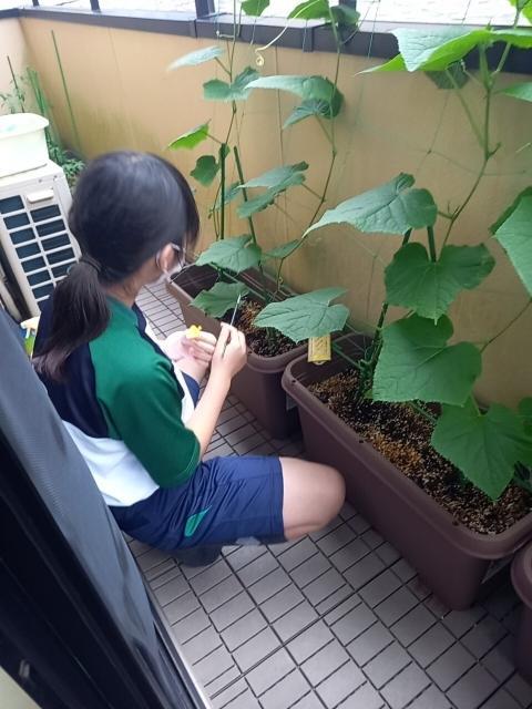 【保育士】多機能型施設/週3日～勤務OK◎/音楽療法をメインとしたプログラムを実施♪/ありのままの姿をあたたかく見守る支援/時給1,116円～/パート・アルバイト/資格必須の写真9枚目