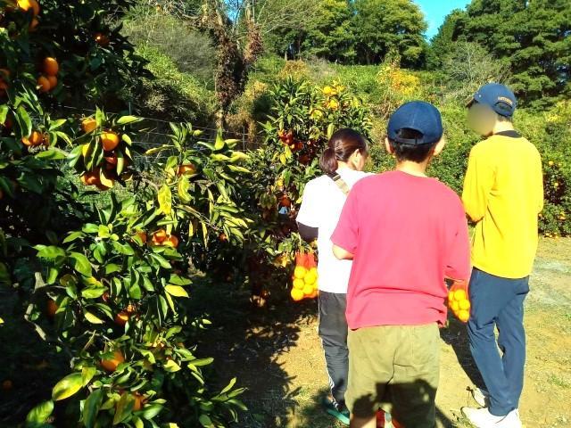 【理学療法士】多機能型施設/年間休日115日/日祝休み◎/未経験・ブランク可/ライフキネティックを活用した療育が特徴/みんなが笑顔になれる場所♪/月給23万円～/正社員/資格必須の写真7枚目