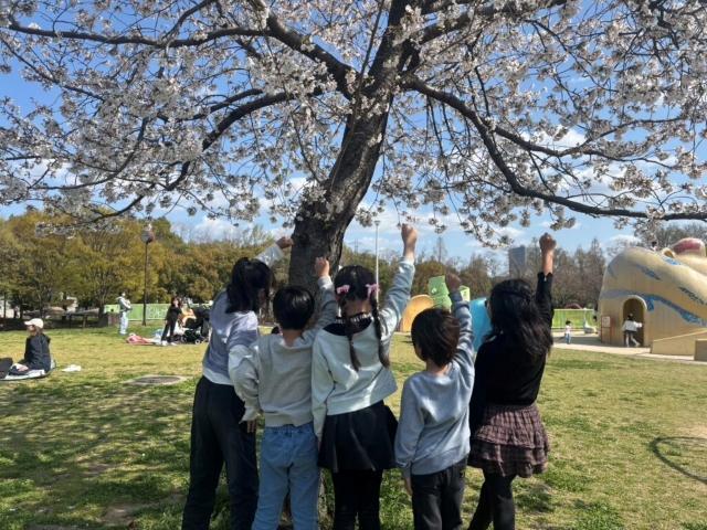 2026年5月オープン！【作業療法士】多機能型施設/日曜休み・完全週休2日制/運動を中心に、多彩な感覚統合療法をおこなう預かり型の施設♪/月給24万円～/正社員/資格必須の写真8枚目