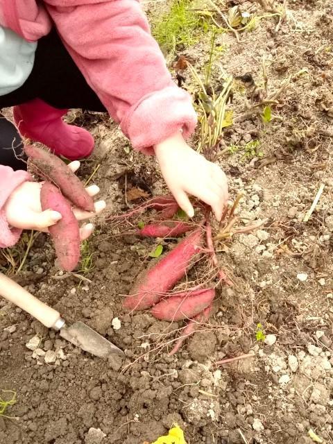 【児童発達支援管理責任者】放課後等デイサービス/日祝休み/7時間勤務◎/「遊びの場・生活の場・学びの場」の3つを兼ね備えた「第2のお家」を目指します♪/月給21万円～/正社員/資格必須の写真7枚目