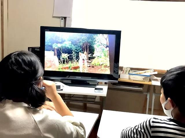 【児童指導員】放課後等デイサービス/年間休日120日/残業ほぼなし/毎日がハッピーであるように、子どもたちの卒業後を見据えた自立支援を提供♪/⽉給19.6万円〜/正社員/資格必須の写真1枚目