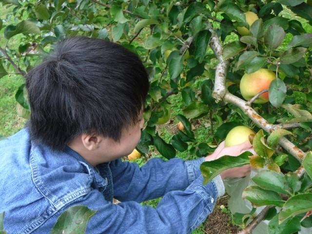 【児童発達支援管理責任者】放課後等デイサービス/日祝休み/高岡市内を中心に放デイ・生活介護・就労支援事業を展開する法人◎/月給26万円～/正社員/資格必須の写真6枚目