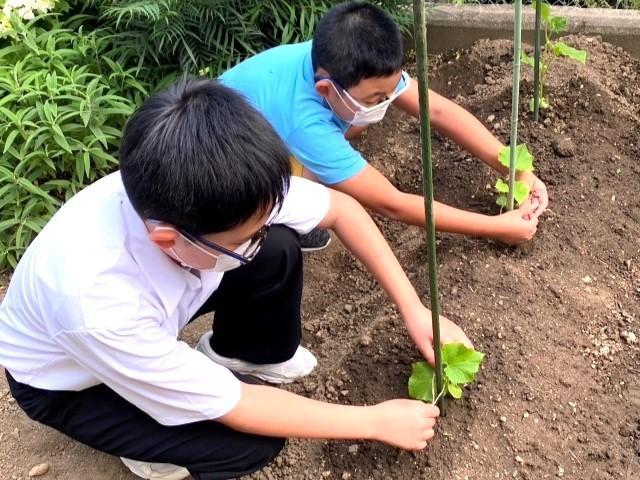 【児童指導員】放課後等デイサービス/年休124日◎/未経験・ブランク可/まるでカフェにいるような空間で「また明日も行きたい」と思える施設へ♪/月給24.8万円～/正社員/資格必須の写真8枚目