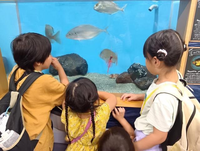 【保育士】多機能型施設/日祝休み/完全週休2日制/残業ほぼなし◎/専門スタッフによる総合型療育を実施/あたたかな環境で好奇心をはぐくむ！/月給21.2万円～/正社員/資格必須