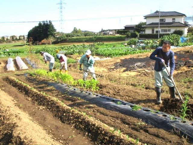 【サービス管理責任者】就労継続支援B型・生活介護/正社員/資格必須/⽉給29万円〜/県内に20施設以上を展開中の大手法人◎/残業ほぼなし＆育休取得実績あり！子育て世代におすすめ♪の写真8枚目